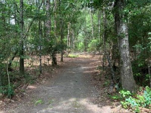TOM MEYERS Road , Covington, LA 70433