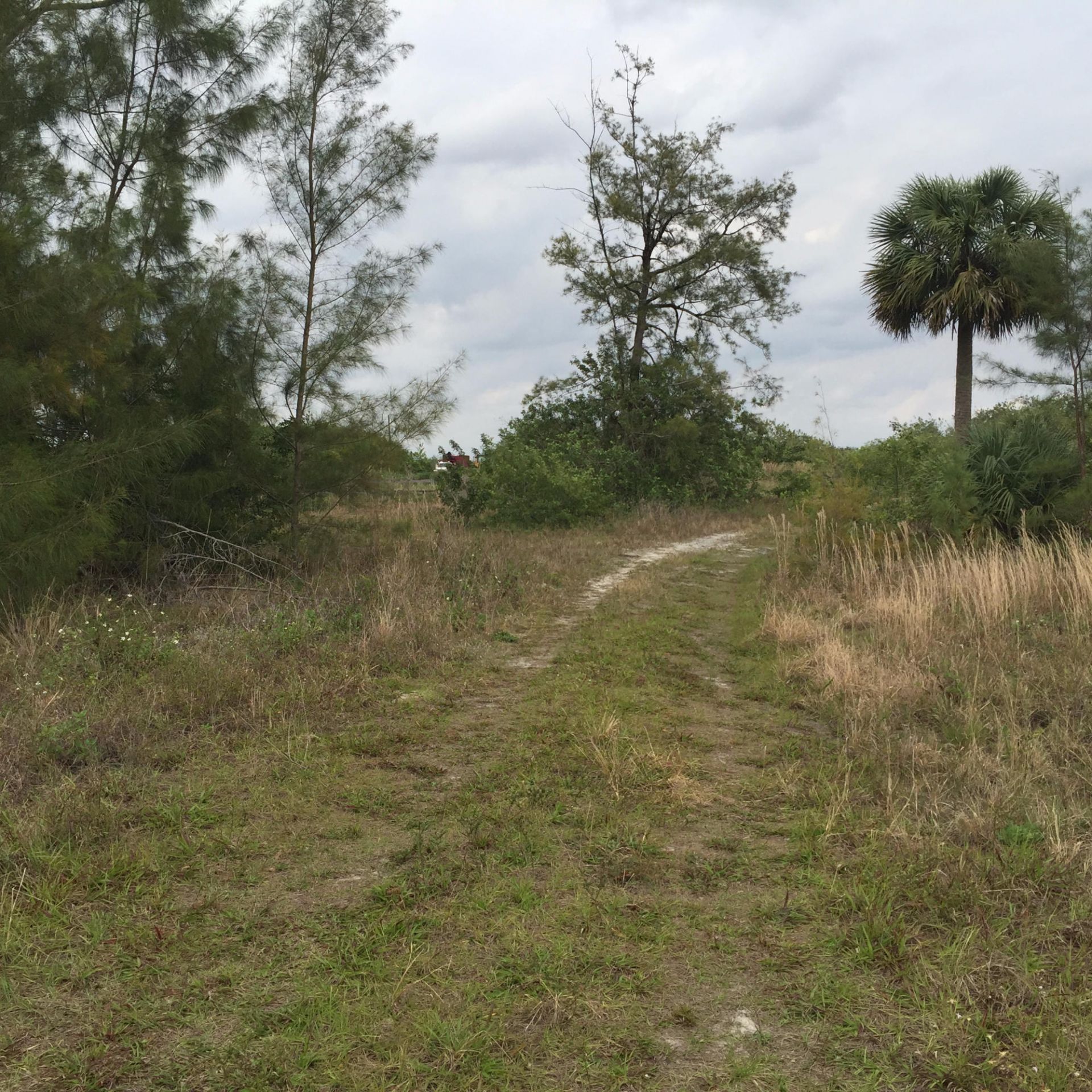20636 Louise Street, Loxahatchee, FL 33470 Photo