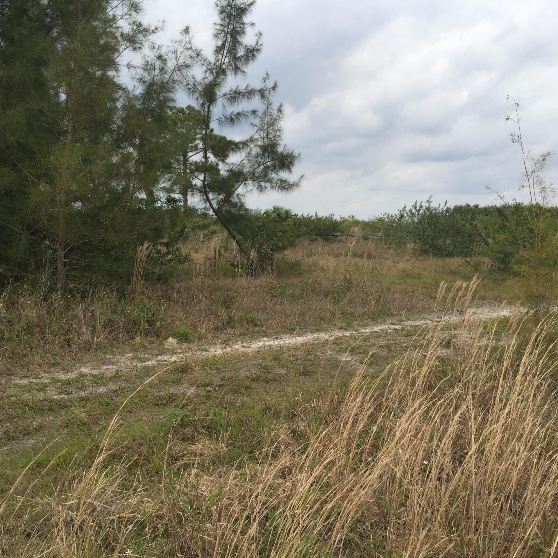20636 Louise Street, Loxahatchee, FL 33470 Photo