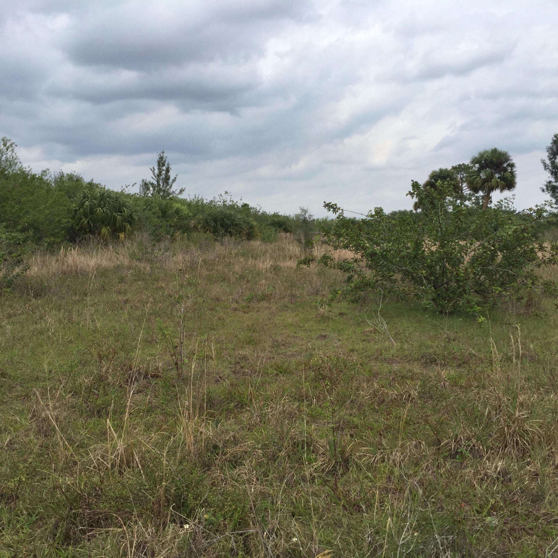 20636 Louise Street, Loxahatchee, FL 33470 Photo