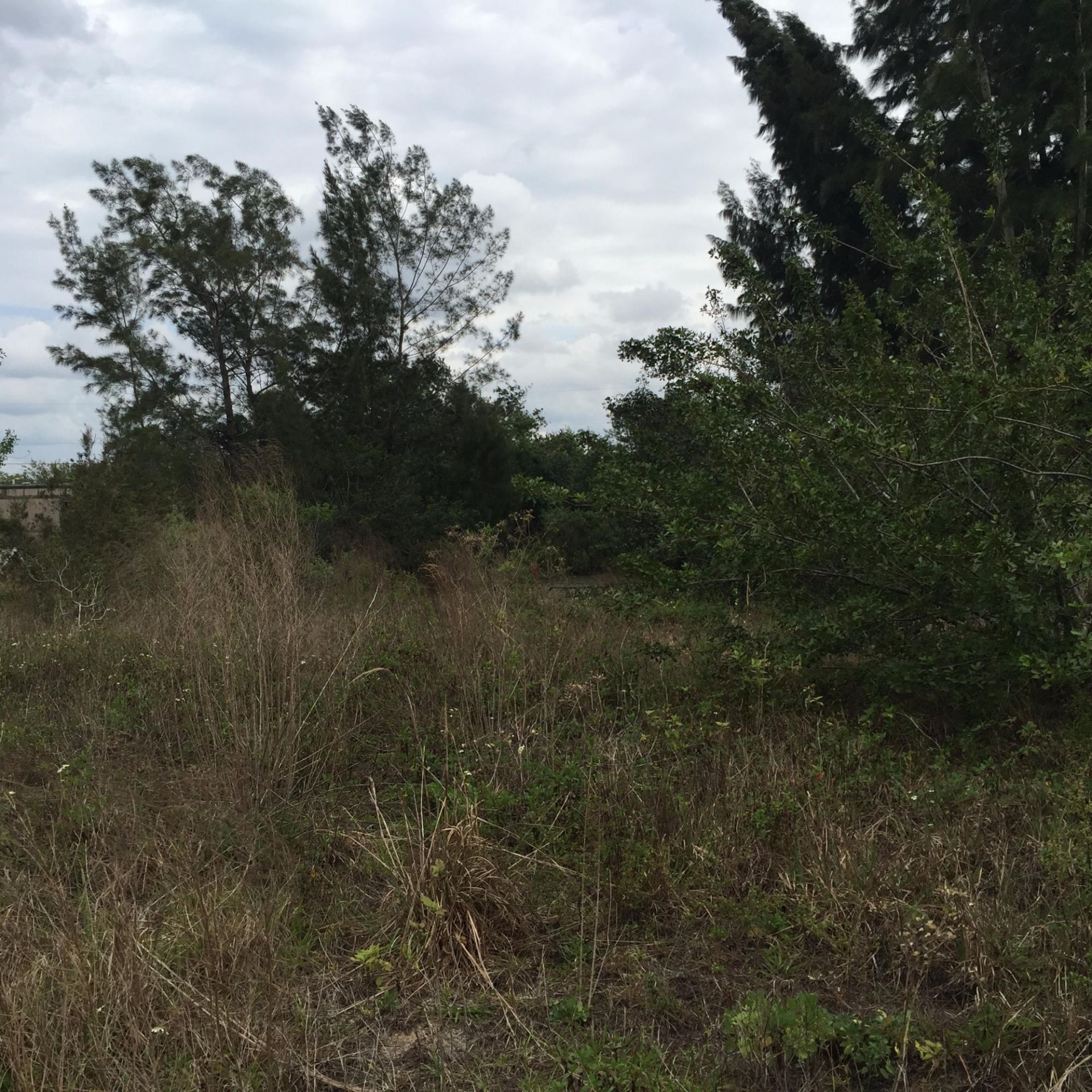 20636 Louise Street, Loxahatchee, FL 33470 Photo