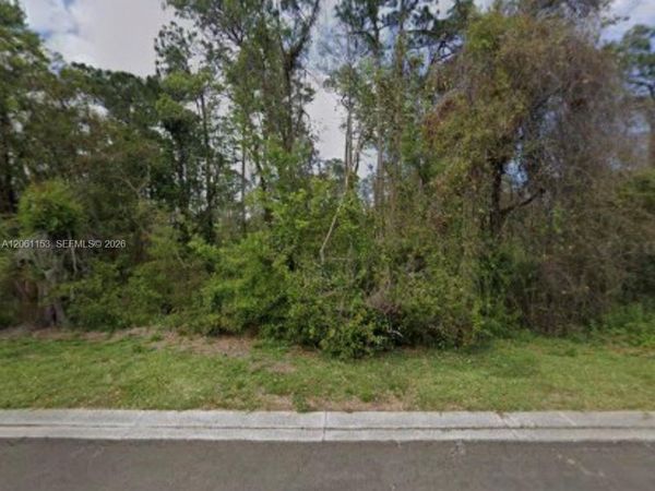 918 John Hunter Ct. , Brandon, FL 33511