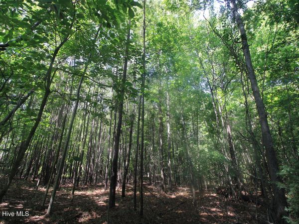 0 Crowatan Trail , Carthage, NC 28327