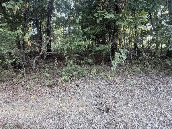 lot 10 Ridge , Mayflower, AR 72106