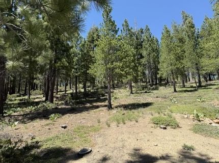 13872 Alder Creek Road , Truckee, CA 96161 Photo