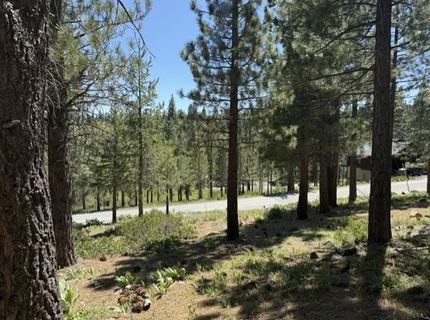 13872 Alder Creek Road , Truckee, CA 96161 Photo