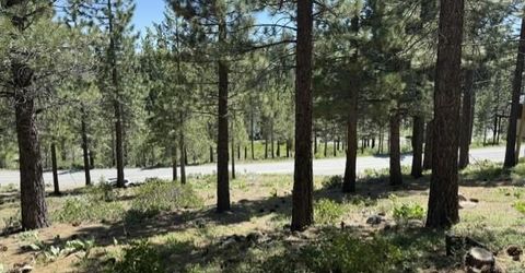 13872 Alder Creek Road , Truckee, CA 96161 Photo