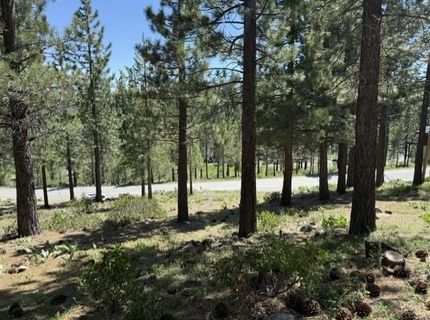 13872 Alder Creek Road , Truckee, CA 96161 Photo