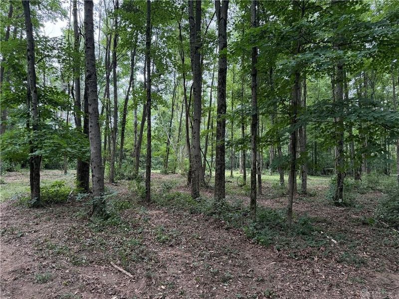 10237 Collins Riley Road, Harlan Township, OH 45107 Photo 11