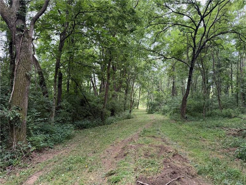 10237 Collins Riley Road, Harlan Township, OH 45107 Photo 14