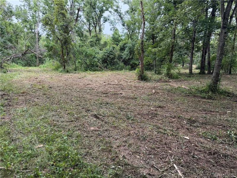 10237 Collins Riley Road, Harlan Township, OH 45107 Photo 15