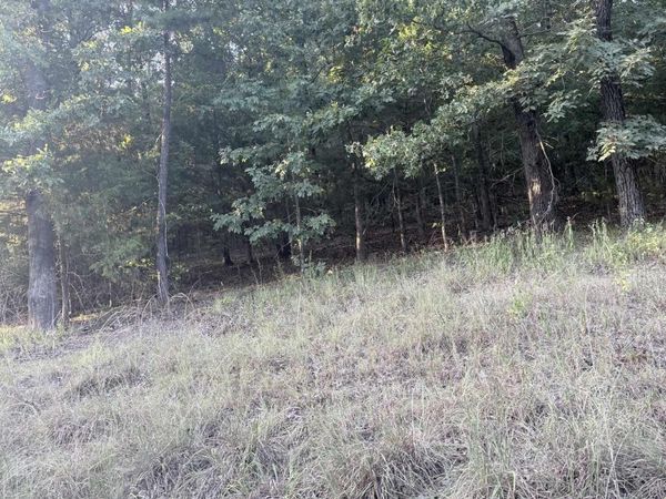lot 13 Ridge , Mayflower, AR 72106