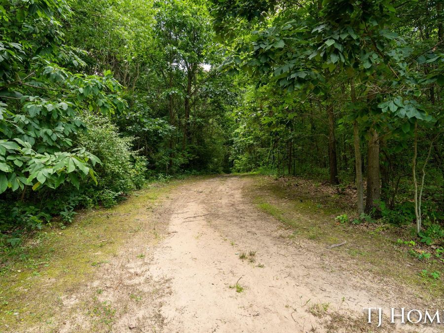 Property Image 62
