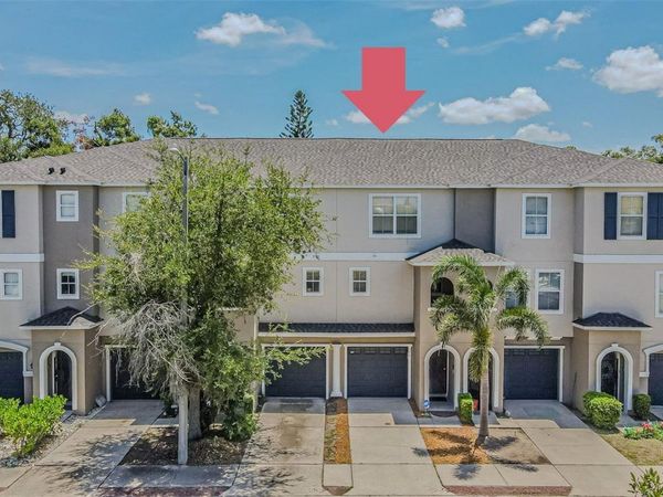 526 WHEATON TRENT PLACE , TAMPA, FL 33619
