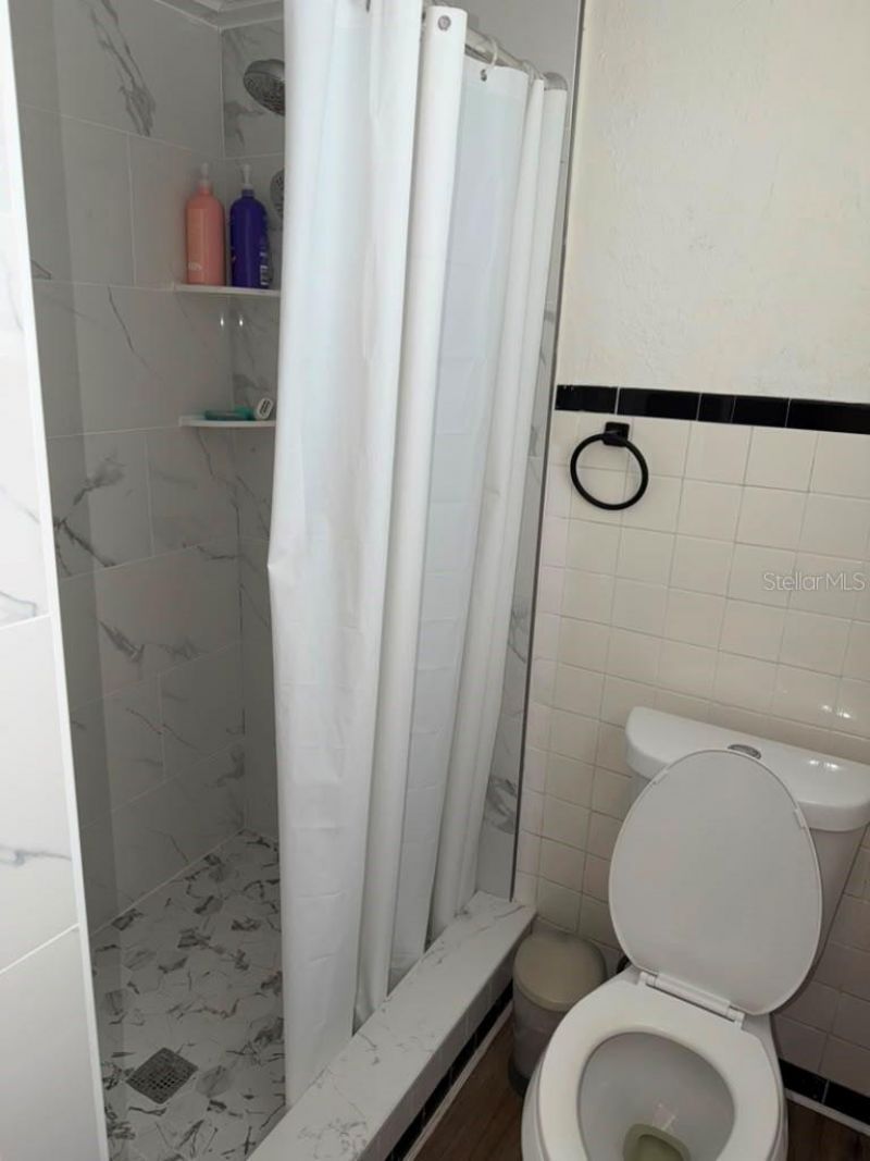 703 E Hamilton Avenue, Tampa, FL 33604 Photo