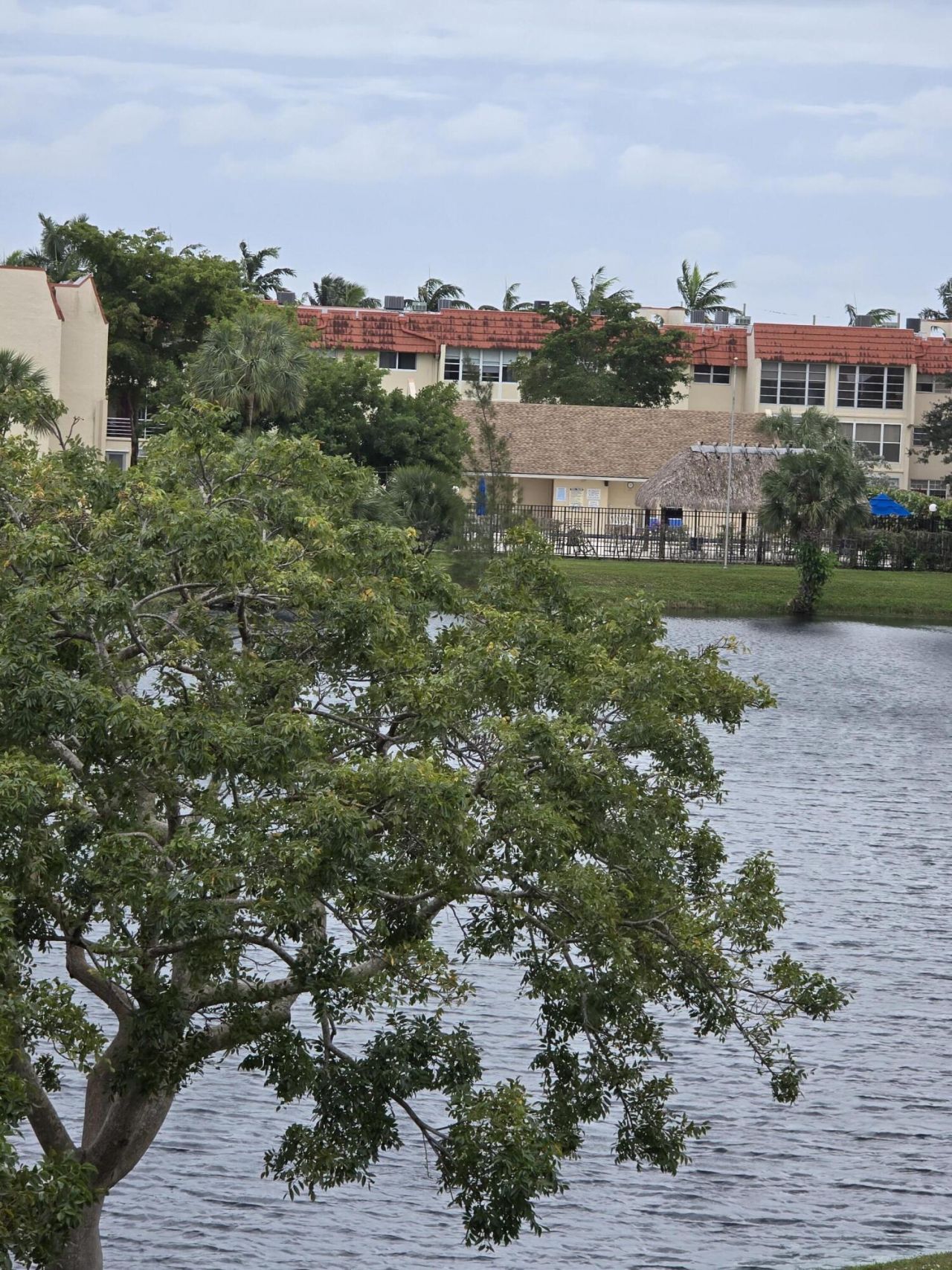 2800 W Sunrise Lakes Drive W, Unit 312, Sunrise, FL 33322 Photo