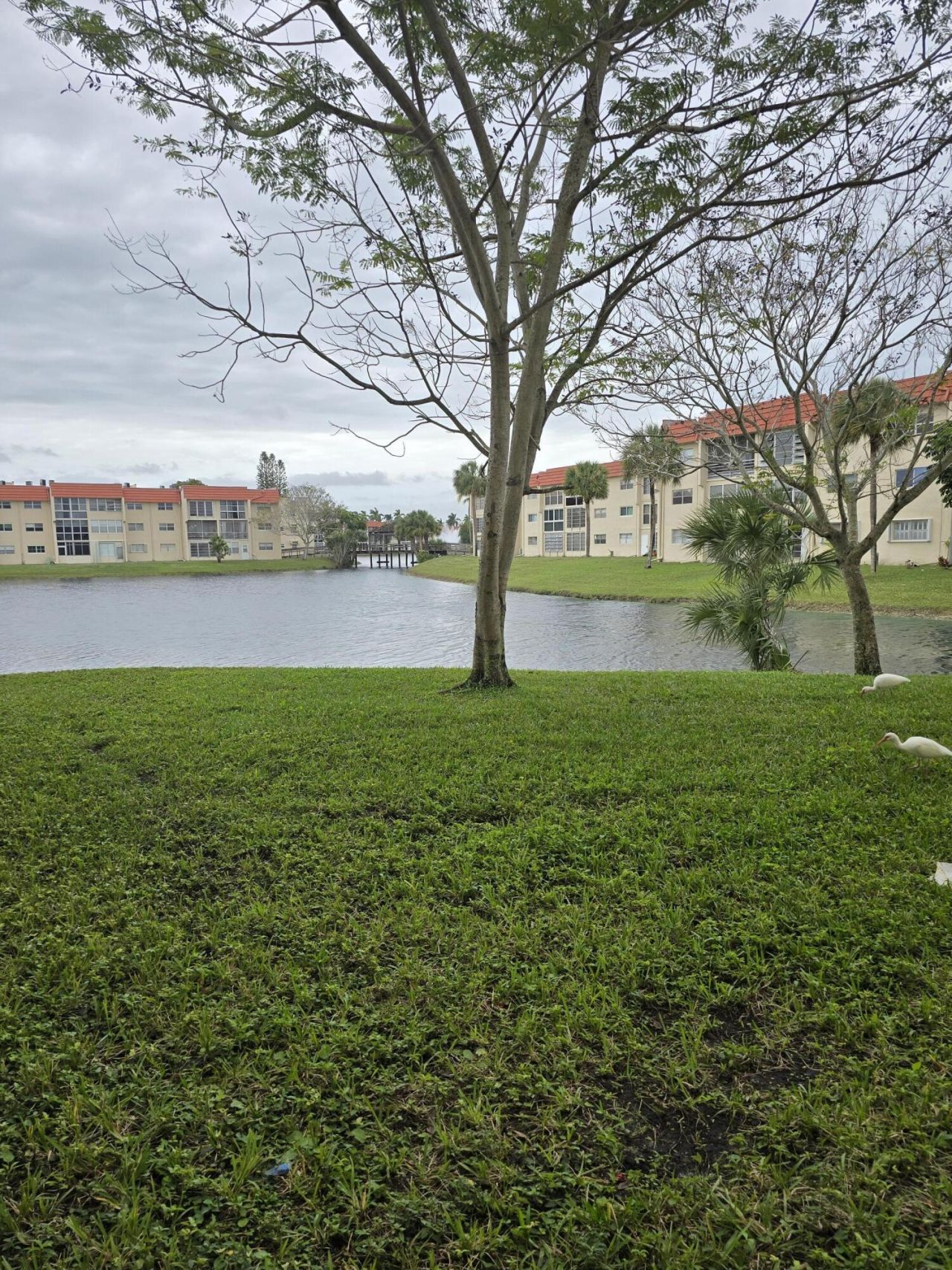 2800 W Sunrise Lakes Drive W, Unit 312, Sunrise, FL 33322 Photo