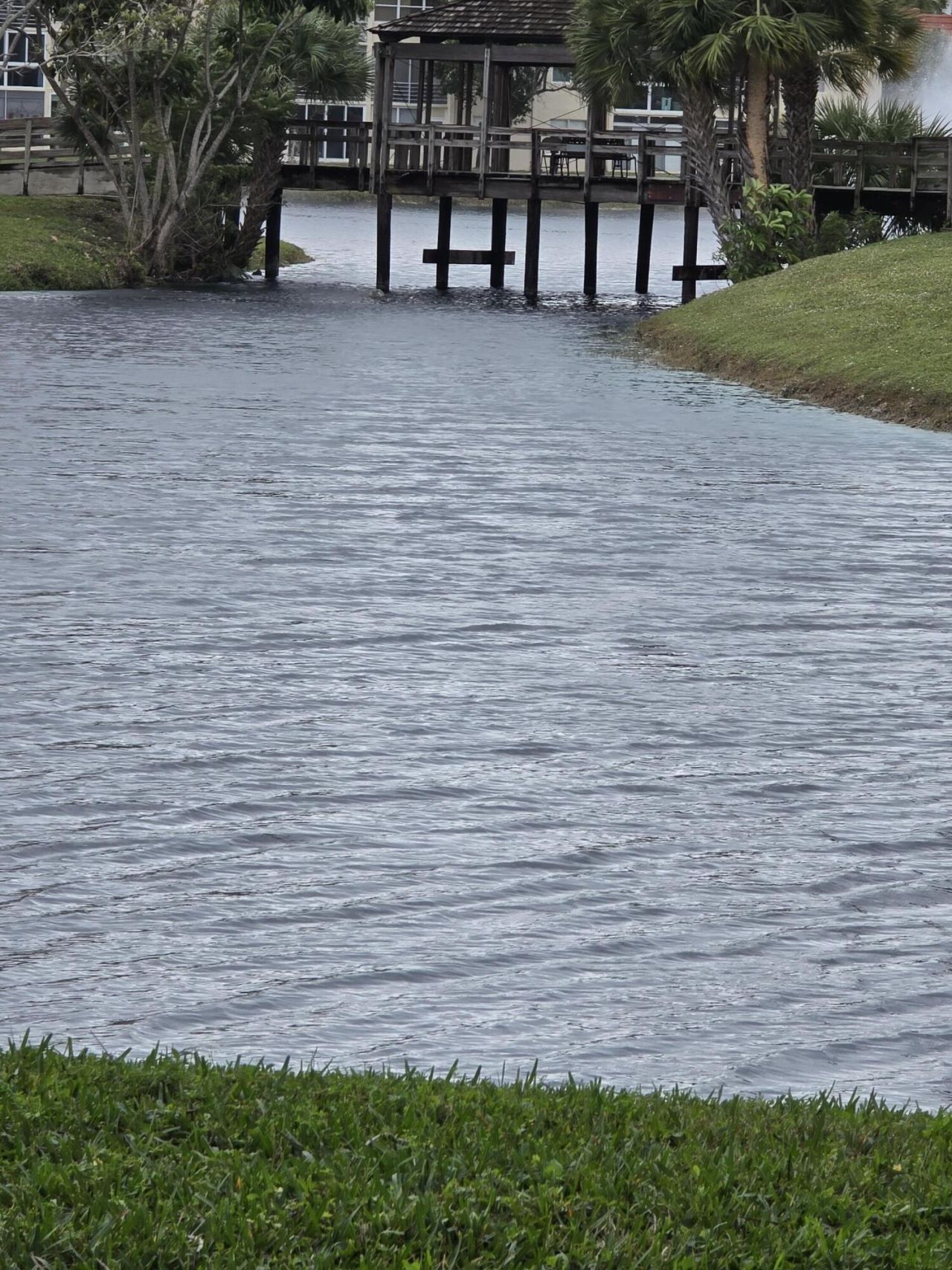 2800 W Sunrise Lakes Drive W, Unit 312, Sunrise, FL 33322 Photo