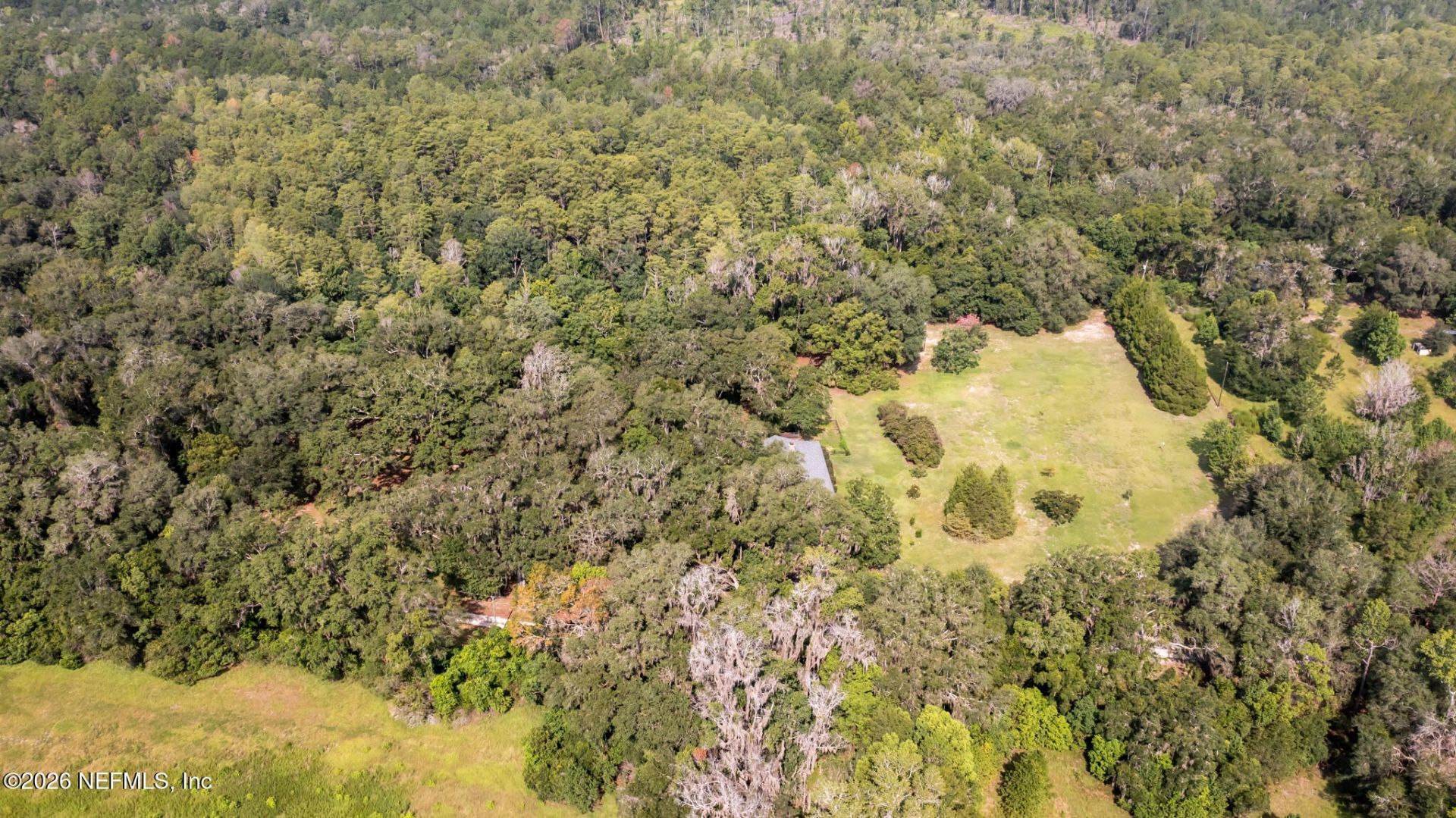22304 NE 35th Avenue, Melrose, FL 32666 Photo