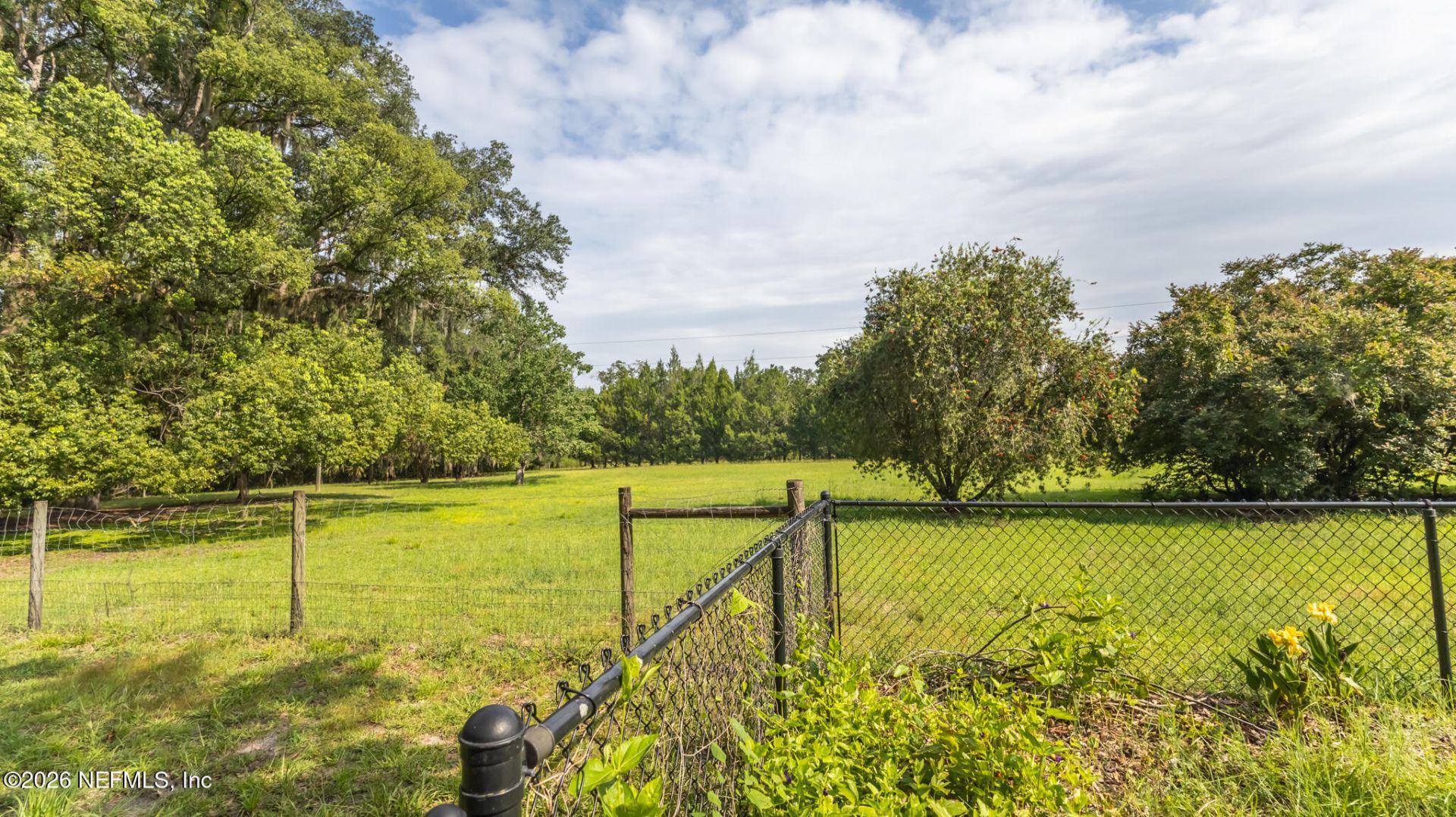 22304 NE 35th Avenue, Melrose, FL 32666 Photo