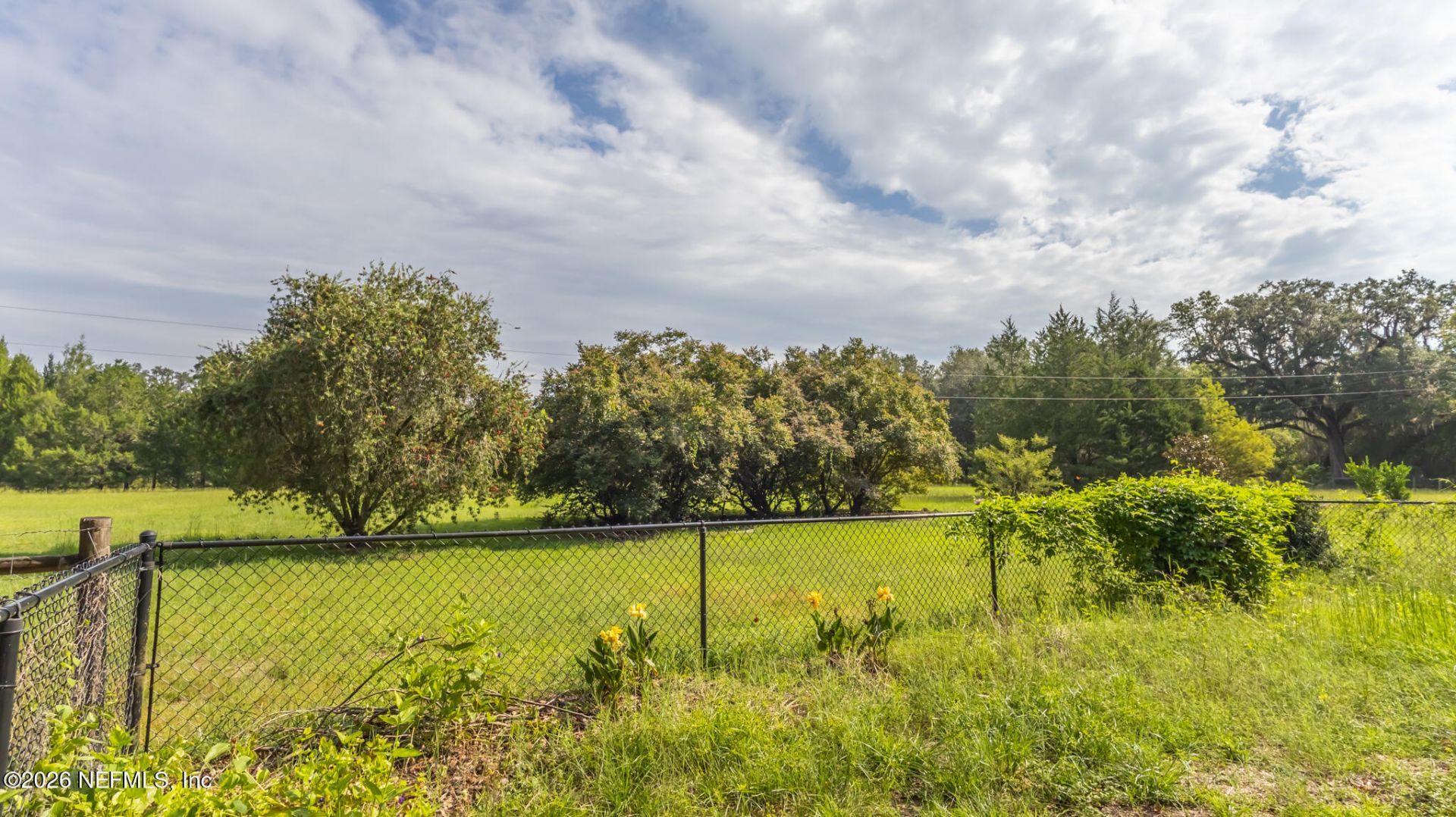 22304 NE 35th Avenue, Melrose, FL 32666 Photo