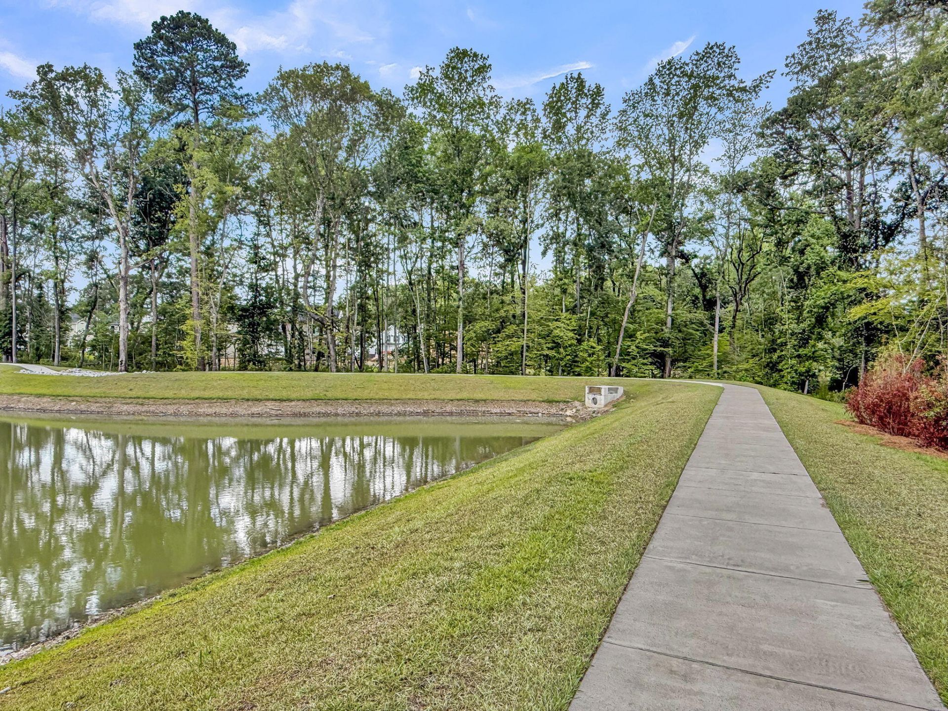 250 Central Creek Drive Photo 27