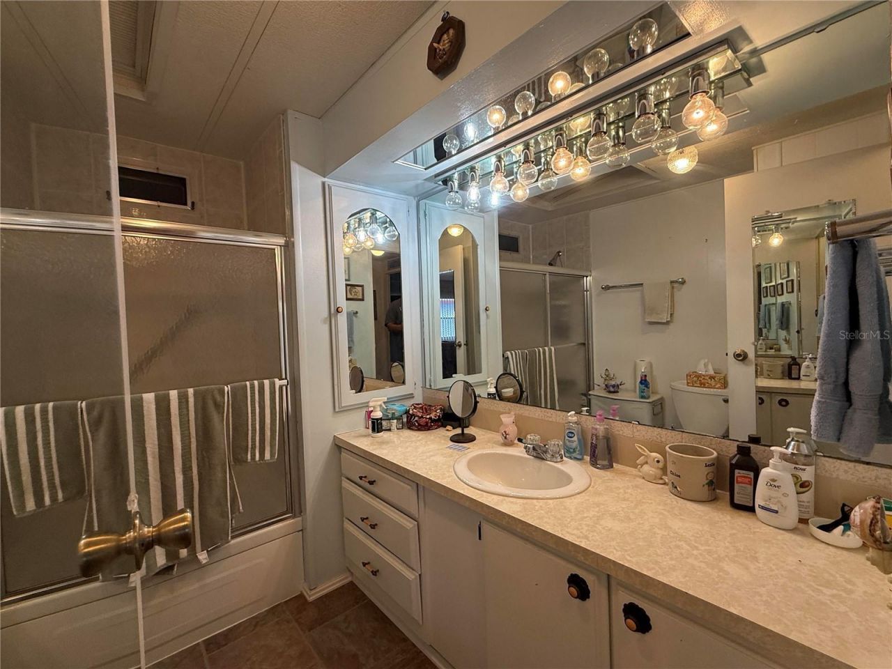 658 Misti Drive , Leesburg, FL 34788 Photo