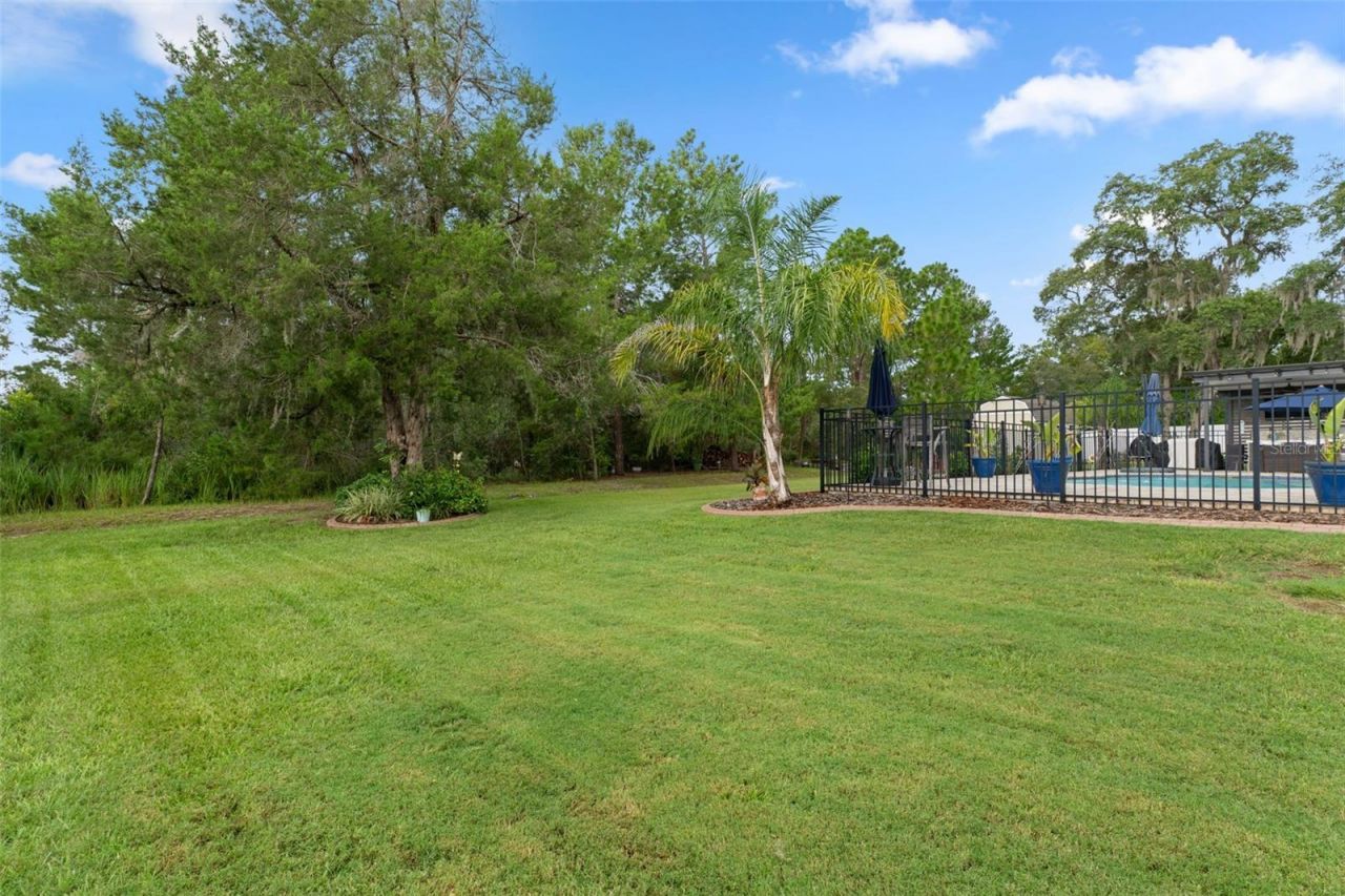 3295 Ponytail Court, Spring Hill, FL 34609 Photo