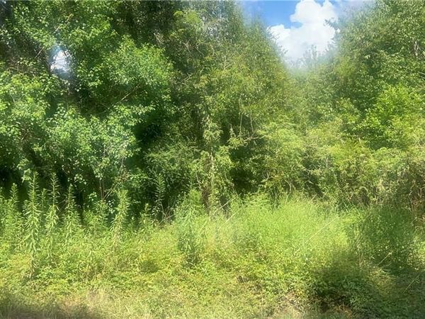 0 Outlaw Road , Prichard, AL 36613