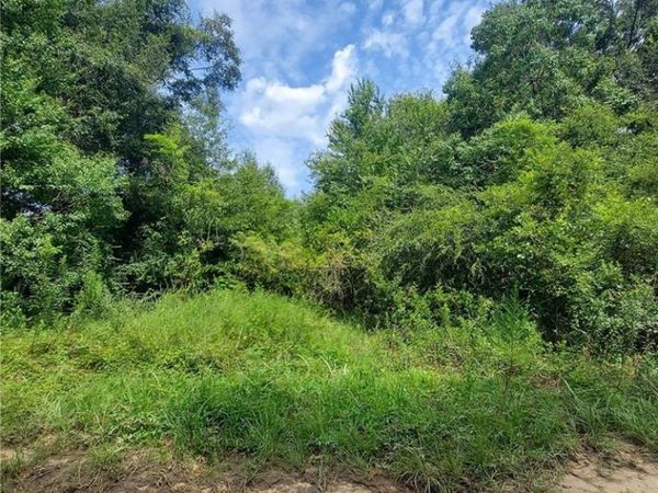 0 Outlaw Road, Eight Mile, AL 36613