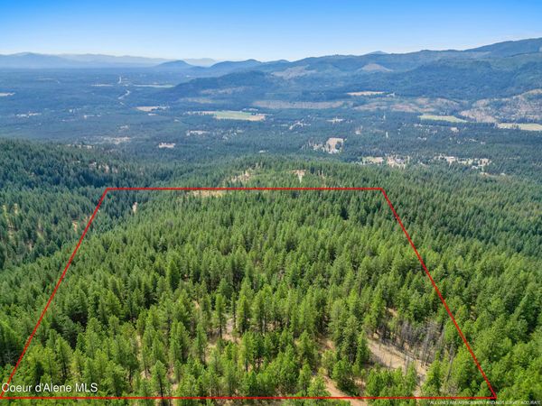 NNA USFS 2550 (40 acres), Blanchard, ID 83804