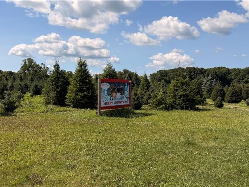 5620 Streeter Road , Mantua, OH 44255 Photo 10