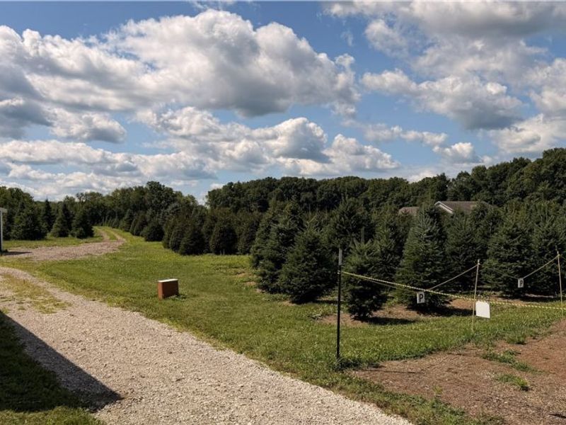 5620 Streeter Road , Mantua, OH 44255 Photo 13