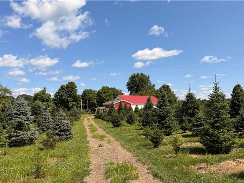 5620 Streeter Road , Mantua, OH 44255 Photo 15