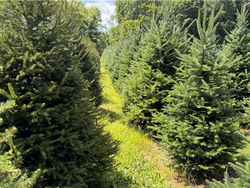 5620 Streeter Road , Mantua, OH 44255 Photo 4