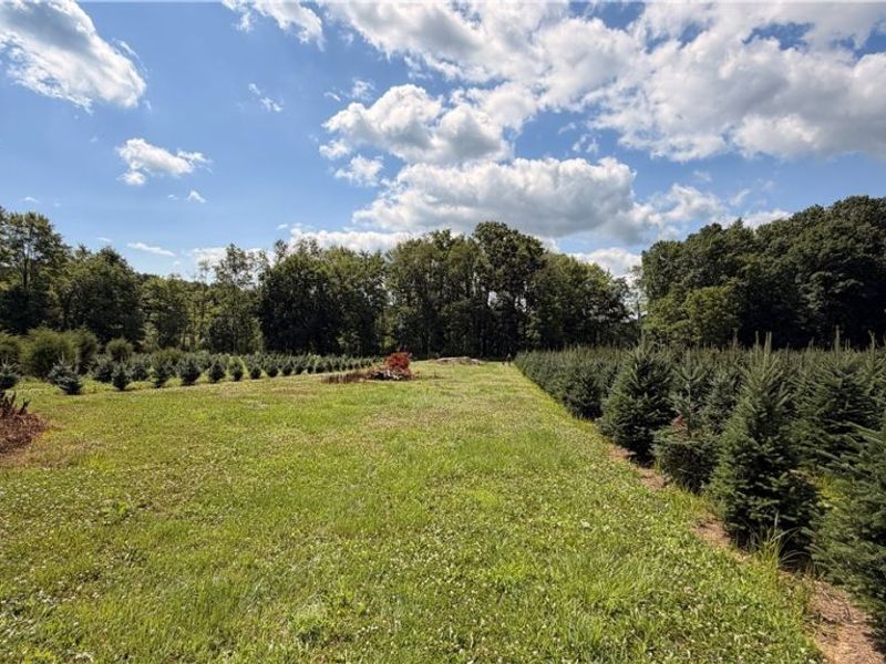 5620 Streeter Road , Mantua, OH 44255 Photo 6