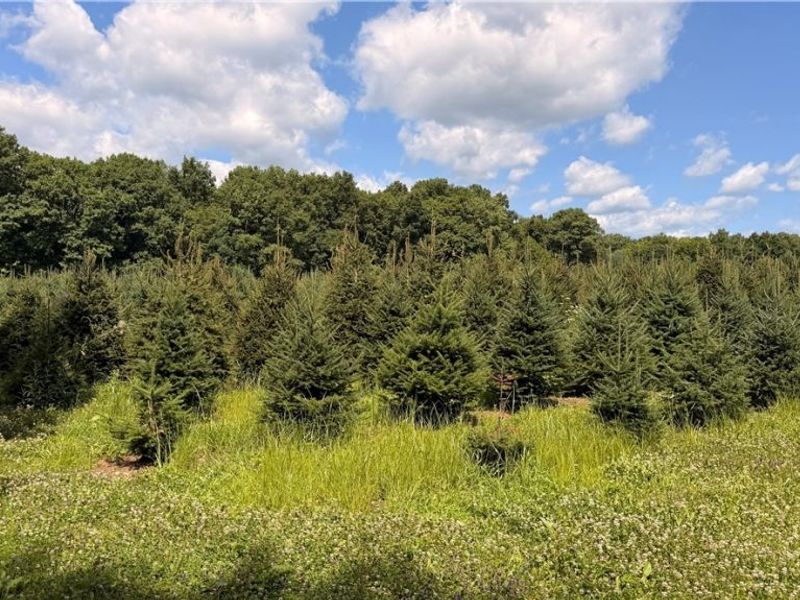5620 Streeter Road , Mantua, OH 44255 Photo 9