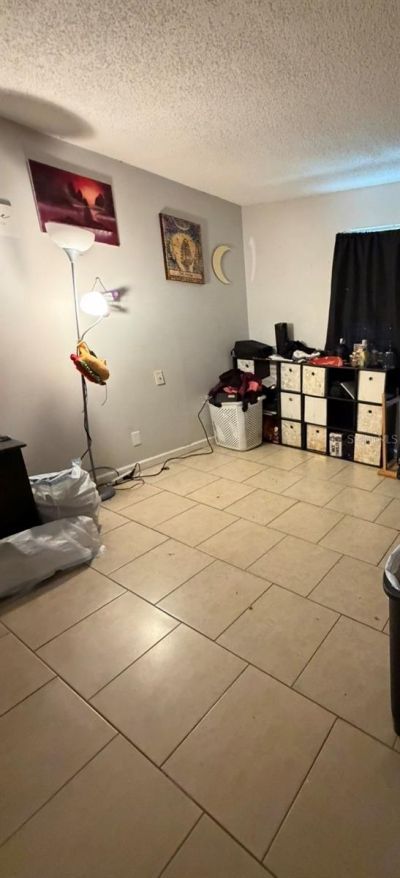 237 Red Maple Place , Brandon, FL 33510 Photo