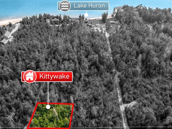 V/L Kittywake Lane, Ocqueoc, MI 49759