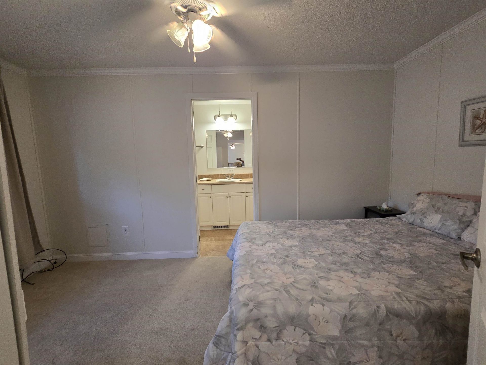 466 W Banks Dr.  Photo 16