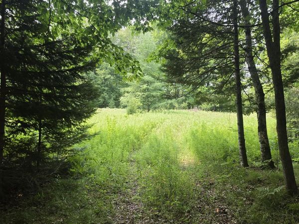 37.30 ACRES OLD RAIL ROAD, Wausaukee, WI 54177