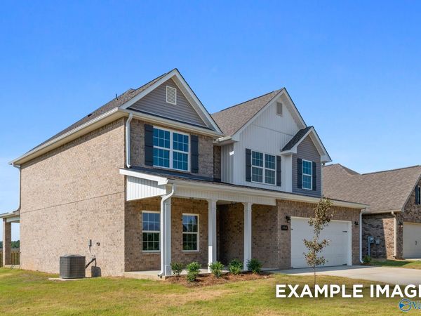 155 Ivy Vine Drive, Toney, AL 35773