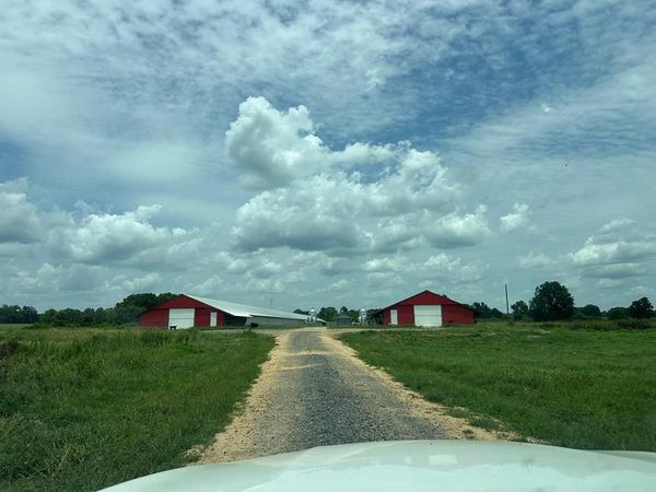 233 Lower Ovett, Ovett, MS 39464