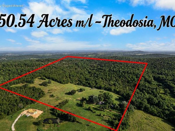 550 County Road 900 , Theodosia, MO 65761