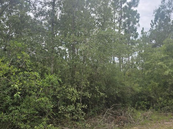 10320 River Alley Road , Youngstown, FL 32466