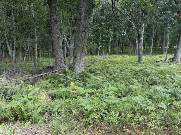 Lot 28 Snowshoe Court , Bushkill, PA 18324
