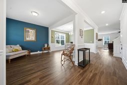 919 Taramore Lane  photo 4
