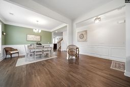 919 Taramore Lane  photo 4