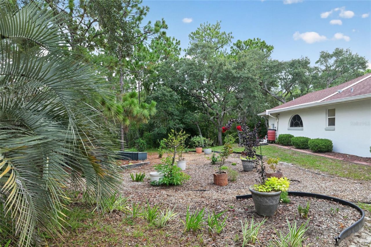 2155 W Fir Place, Beverly Hills, FL 34465 Photo