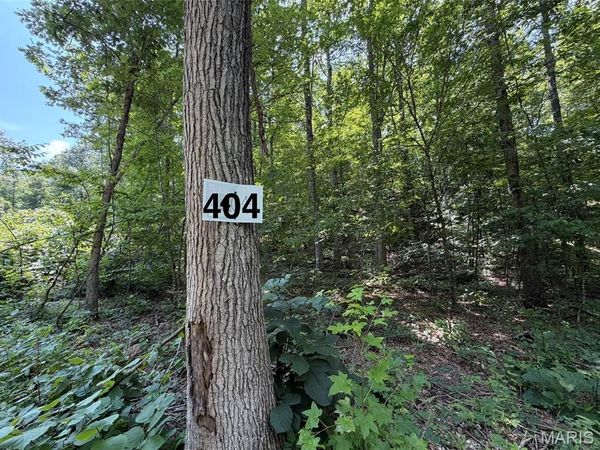 #404 Madison 410 , Fredericktown, MO 63645